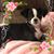 Gena Magee Owen's profile image