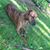 Connie Wieland's profile image