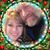 Kelly Wilson's profile image