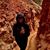 Diana Forman's profile image