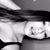 Natalie Tista's profile image