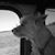 Melanie D. Robertson-Oxner's profile image