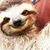 Leah Kile's profile image