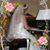 Barbara Ann Miller's profile image