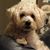 Terry Nagel's profile image