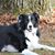 Julie Glynn's profile image