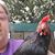 Liane Corbin Varnes's profile image