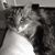 Margaret Spruce's profile image