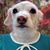 Emilie Gilde's profile image