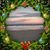Phyllis Meade Rice's profile image