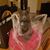 Kat Knight Evaro's profile image