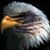 Dale Pruitt's profile image