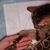 Jennifer Murphy's profile image