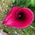 Kathi Ellers's profile image