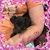 Mindi P Tompkins's profile image