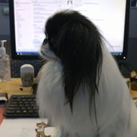 Eileen McCollough Ruffing's profile image