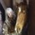 Retta Gruber Jordan's profile image