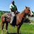 Hakim Ziyad-Bey's profile image