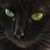 Lori Sweeney Pelissier's profile image