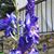 Tracy Breithaupt's profile image