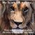 Wendi Sullivan's profile image