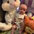 Sheila Wilbur Scott's profile image