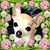 Laurie Osa's profile image