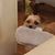 Angie Bailey Owen's profile image