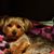 Donna Cason's profile image