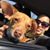 Jennifer Lynn Garcia's profile image