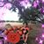 Brenda Medina's profile image