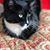 Doreen Miller's profile image