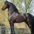 Alegandro Garcla's profile image