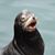Dawn Rasmussen's profile image