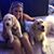 Cyndi Saffel Briley's profile image