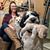 Abby Helgeson's profile image