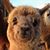 Matt Y Cristina Hammond's profile image