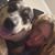 Tearah Smith's profile image
