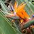 Pam Hanning Wilson's profile image