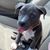 Jocelyn Paiva's profile image