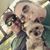 Liz H. Carter's profile image