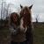 Debbie Ann Patterson Gaston's profile image