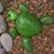 Quetzal CR's profile image
