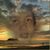 Ginny Burrell's profile image