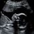Misty Pelkey's profile image