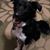 Casadee Gainer's profile image