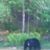 Christopher Nicoli's profile image