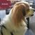 Cynthia Reid Bates's profile image