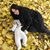 Ritu Hasan's profile image