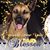 Sandra Genesse's profile image